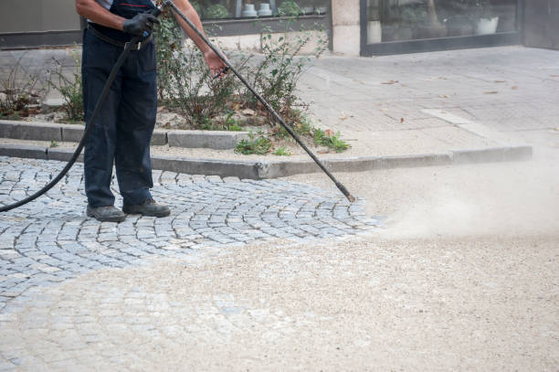 Animal Enclosure Cleaning in White Pigeon, MI